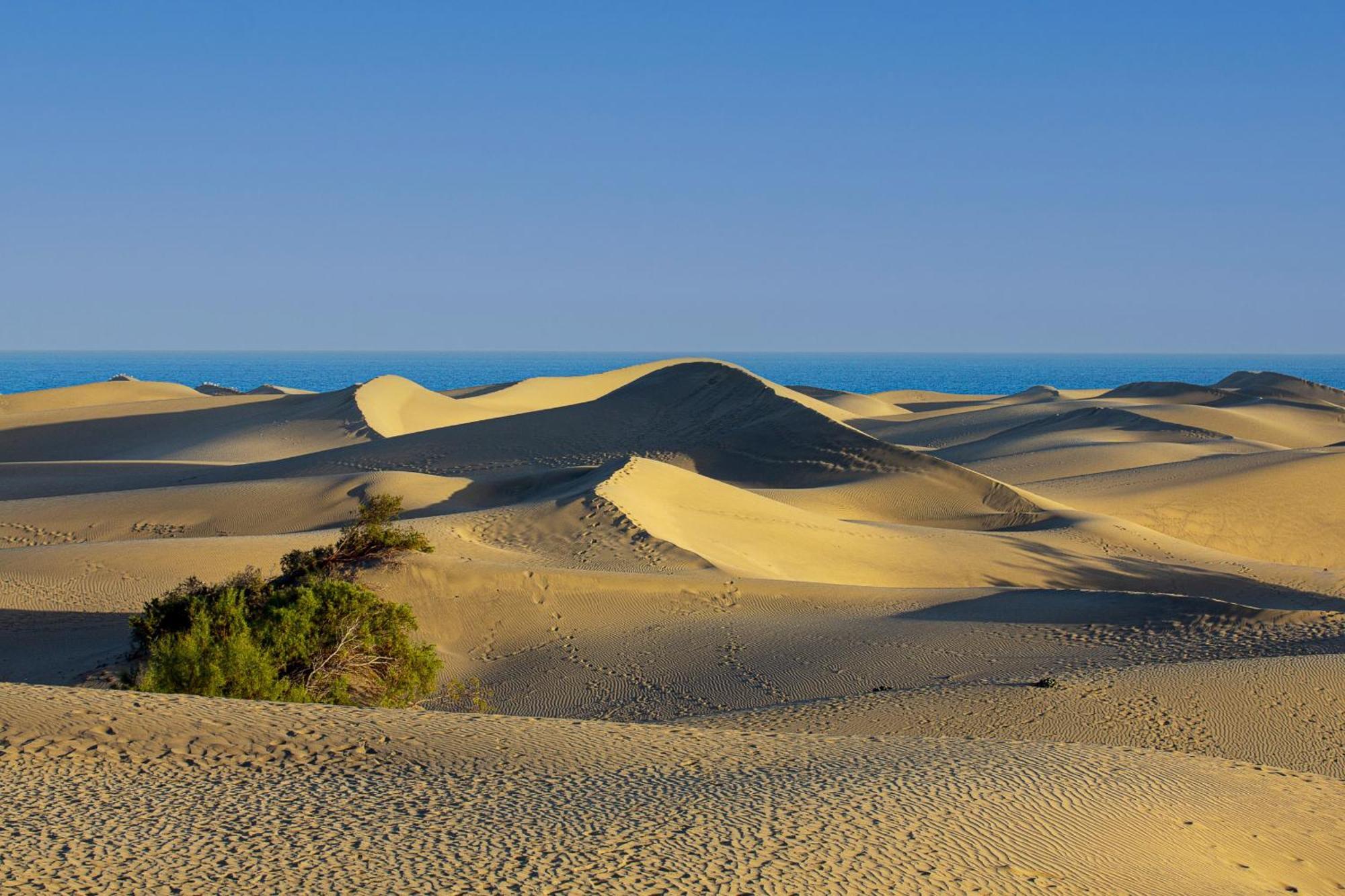 Nice 2 Bedroom Close To The Beach In Maspalomas Playa del Inglés Exterior foto